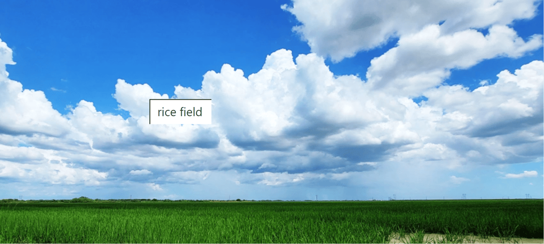 farmland